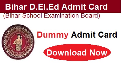 Bihar DElED Dummy Admit Card 2023 biharboardonline.com