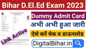 Bihar DElED Dummy Admit Card 2023